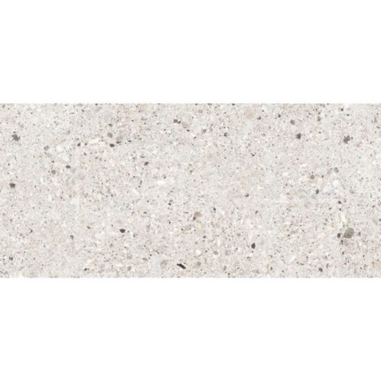 Gresie portelanata tip piatra Terrazzo Mono Bone, 60x120 cm, 87825110, Gri