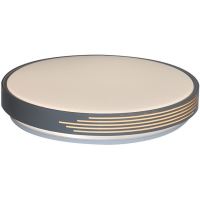 Plafoniera LED 6500K 510xH80mm 48W culoare gri HZL-B50-4536S