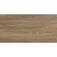 Faianta Delphi Wood tip lemn, 4859 25x50 cm, culoare maro