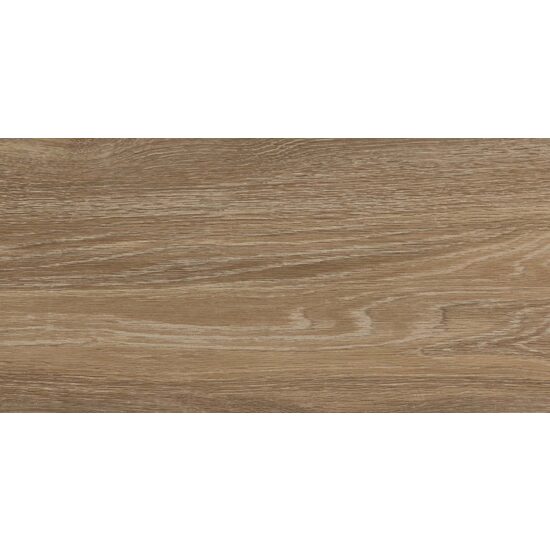 Faianta Delphi Wood tip lemn, 4859 25x50 cm, culoare maro